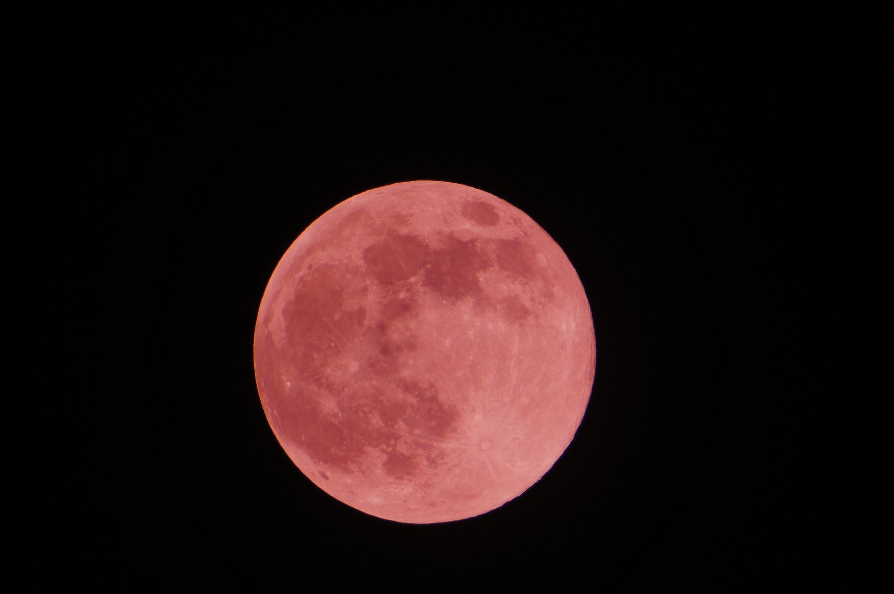 DSC08585_调整大小.JPG