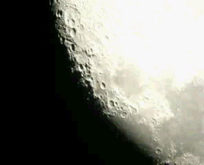 100_4980.gif