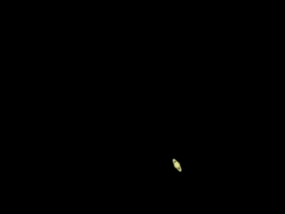 100_5267.gif