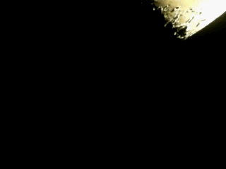 100_5447.gif