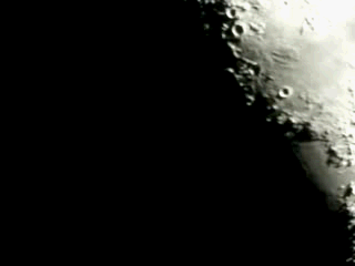 100_5448.gif