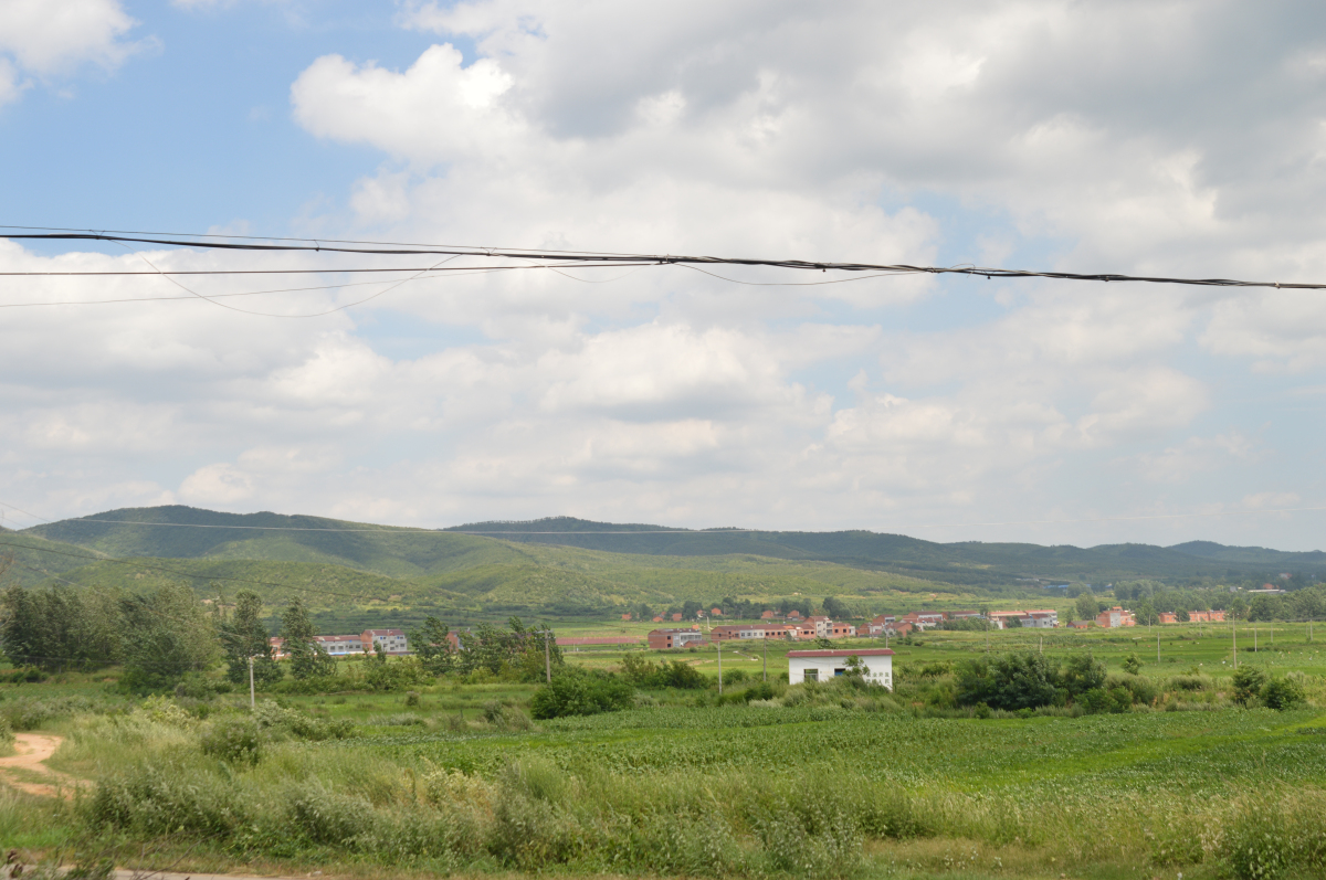 DSC_0011.jpg