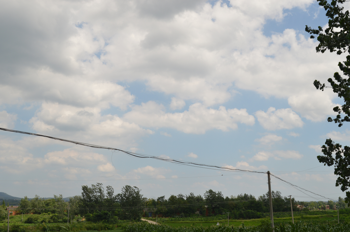 DSC_0013.jpg