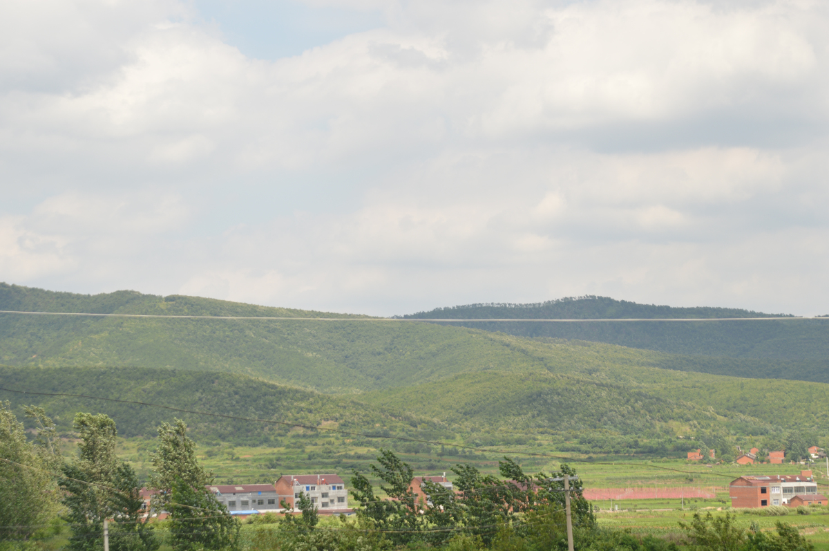 DSC_0014.jpg