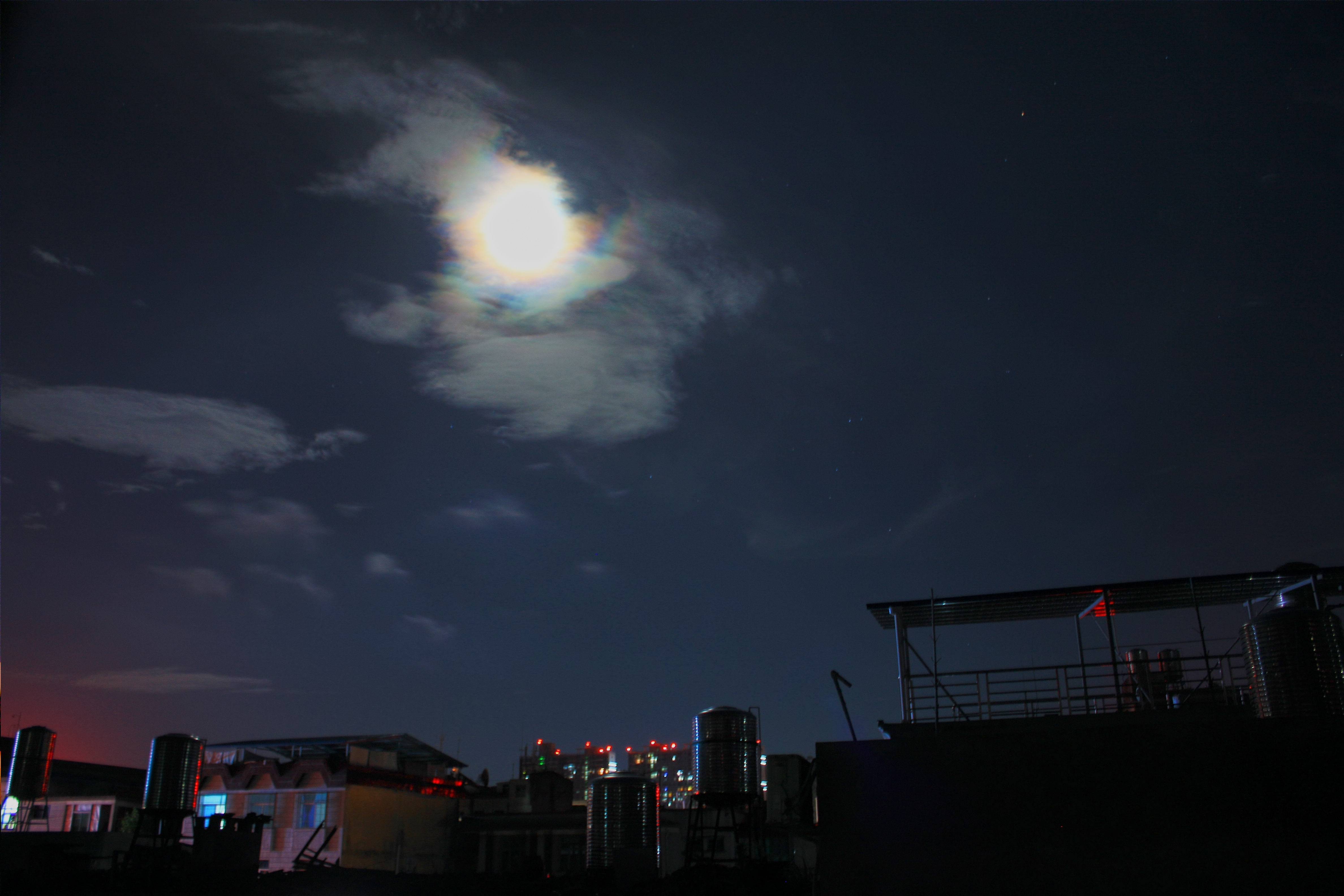 201307 月华.jpg