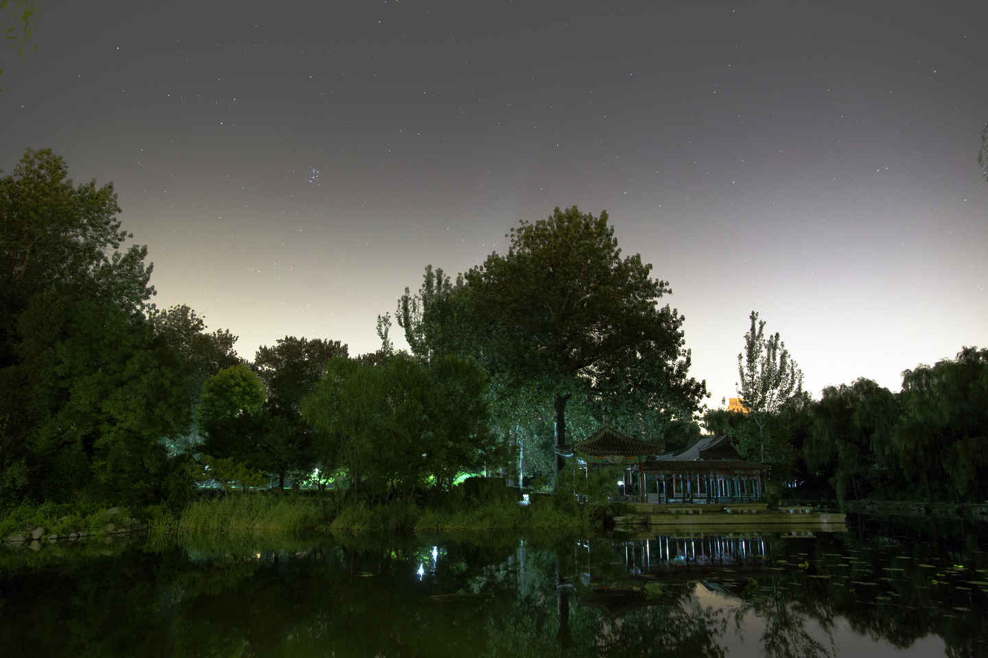 _MG_0967.jpg