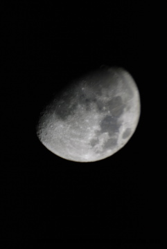 moon.png