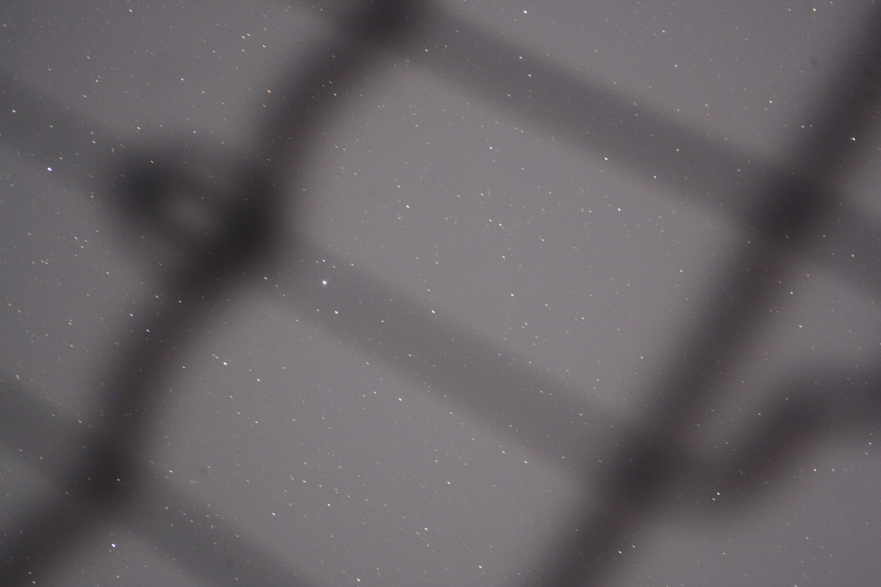 _MG_0012.JPG