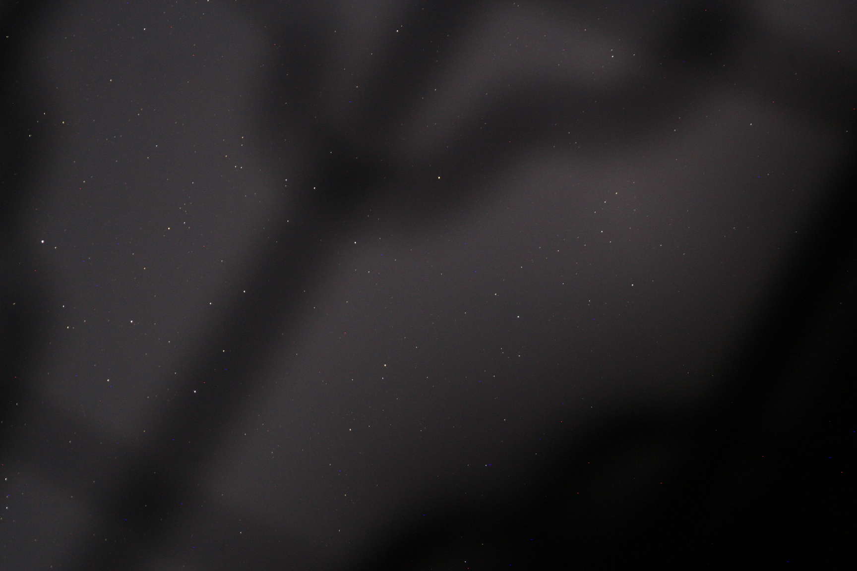_MG_0025.JPG