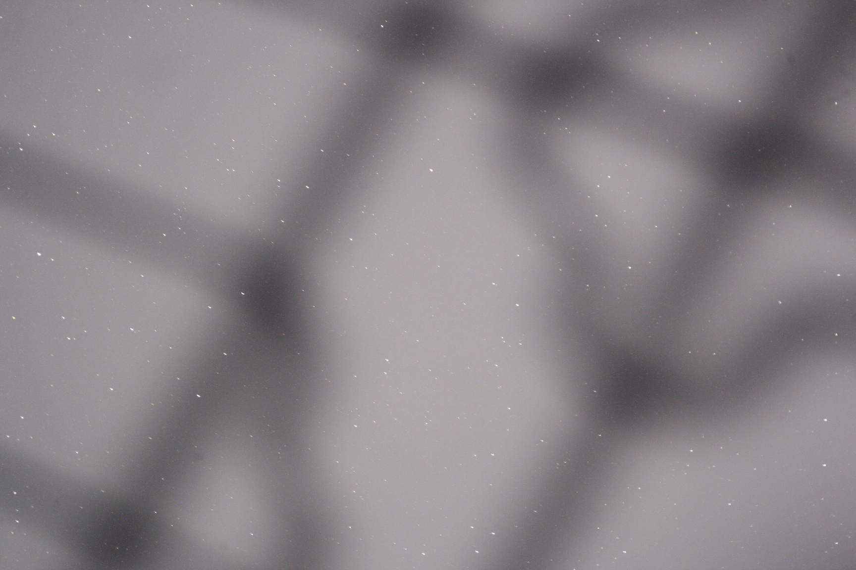 _MG_0030.JPG