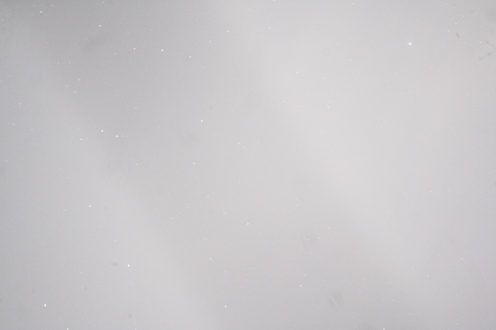_MG_0015.JPG