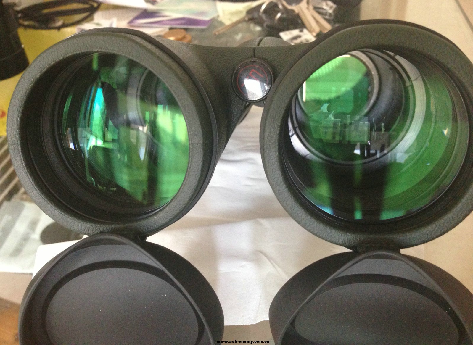 8x56 ED LENS.jpg