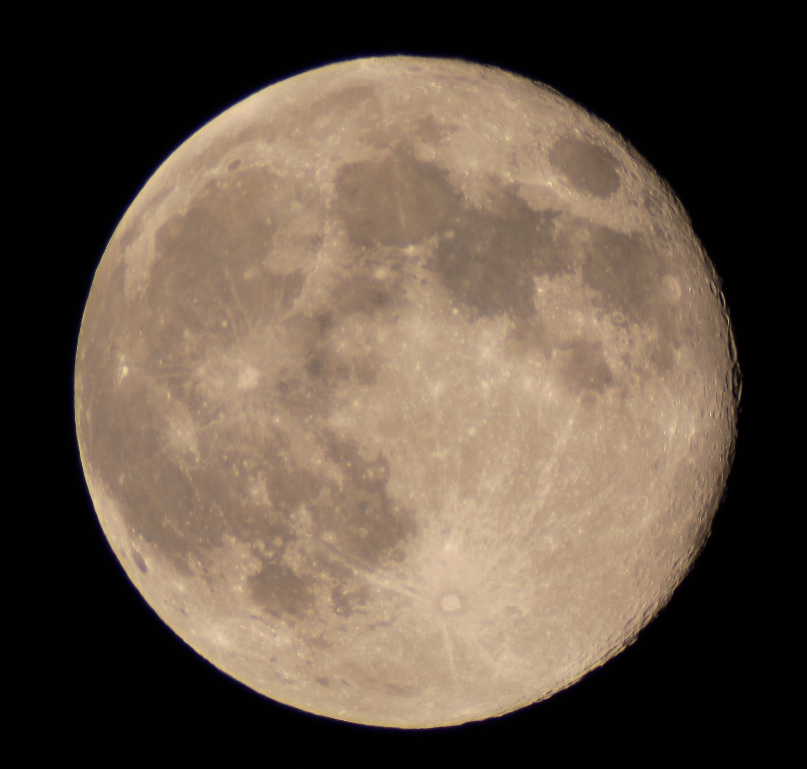 IMG_1266.JPG