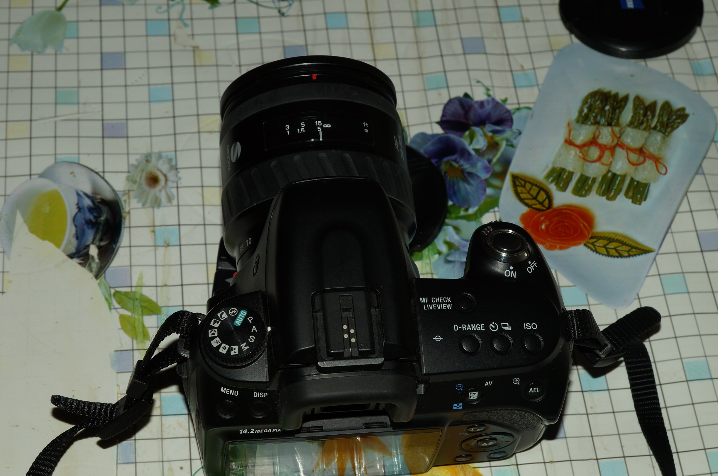 DSC03829.JPG