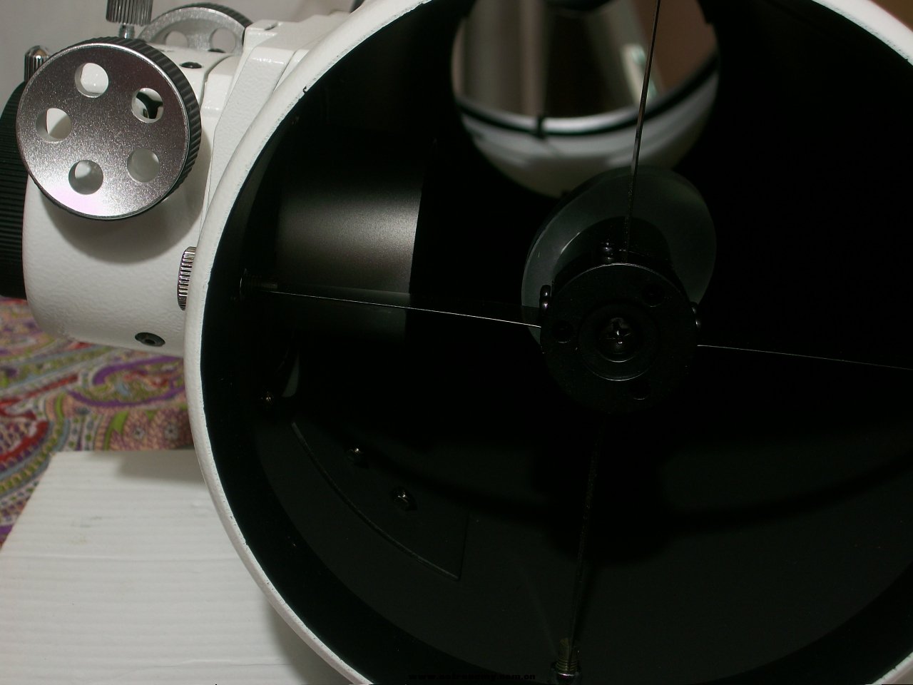 100_5739.JPG
