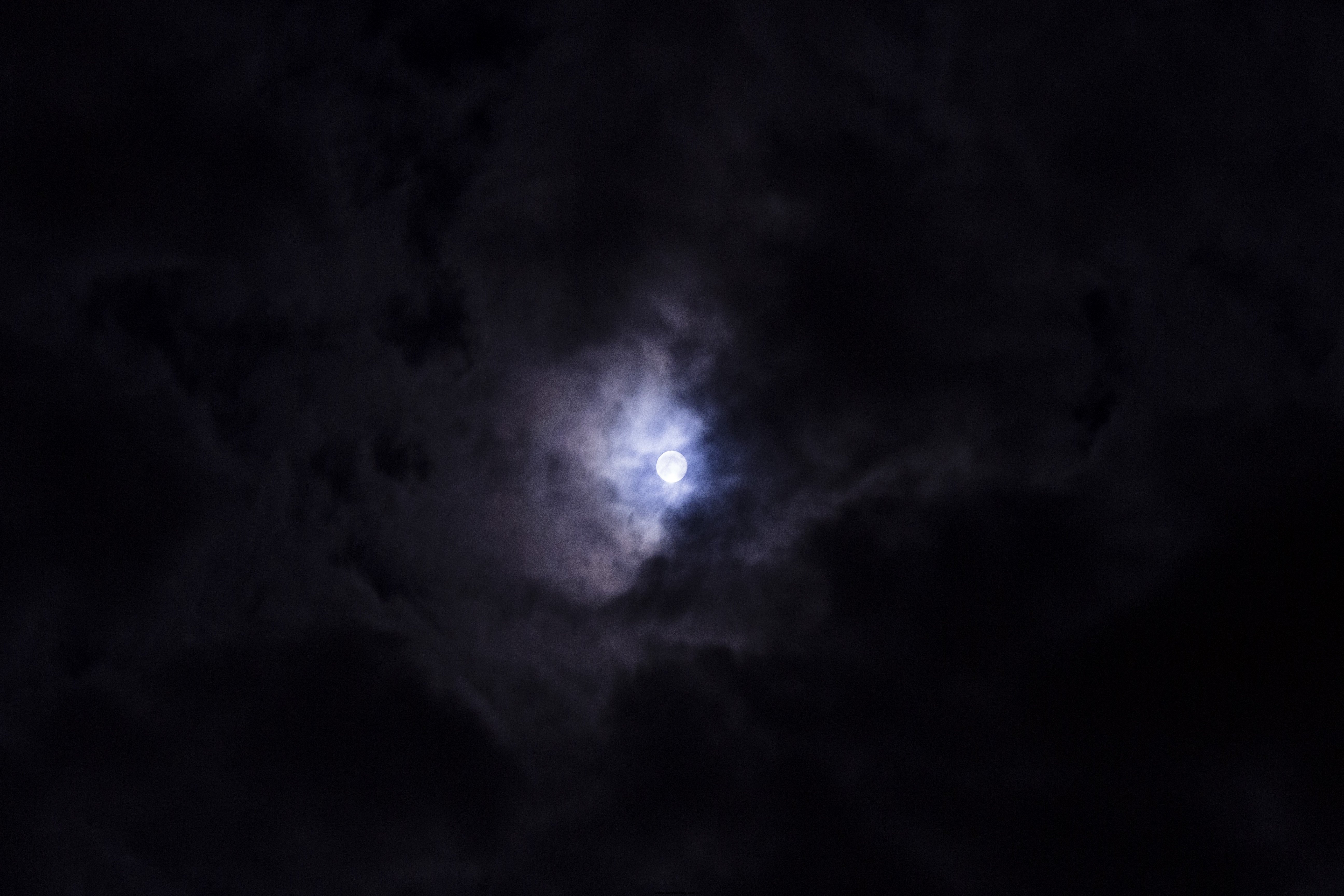IMG_8043.jpg