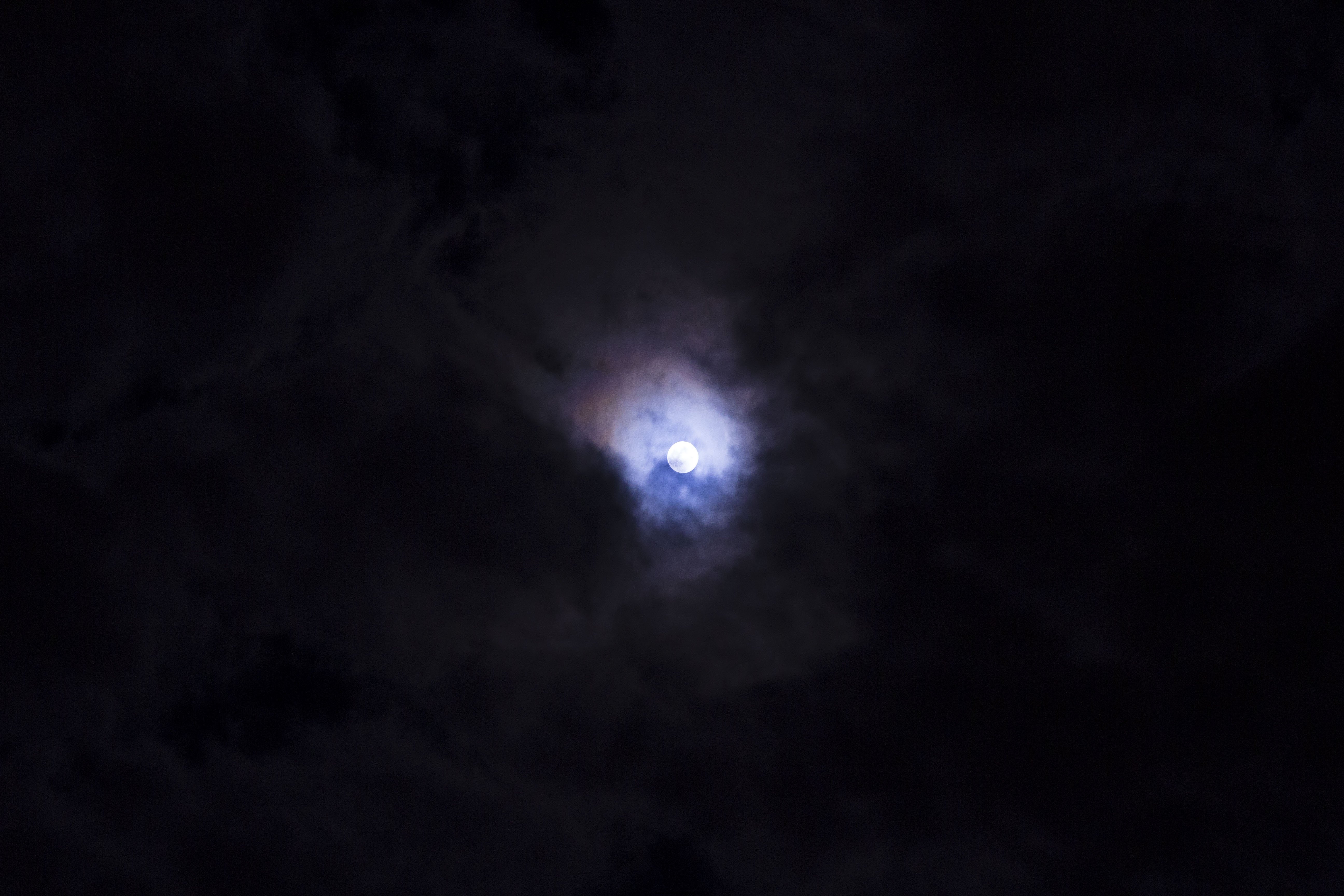 IMG_8047.jpg