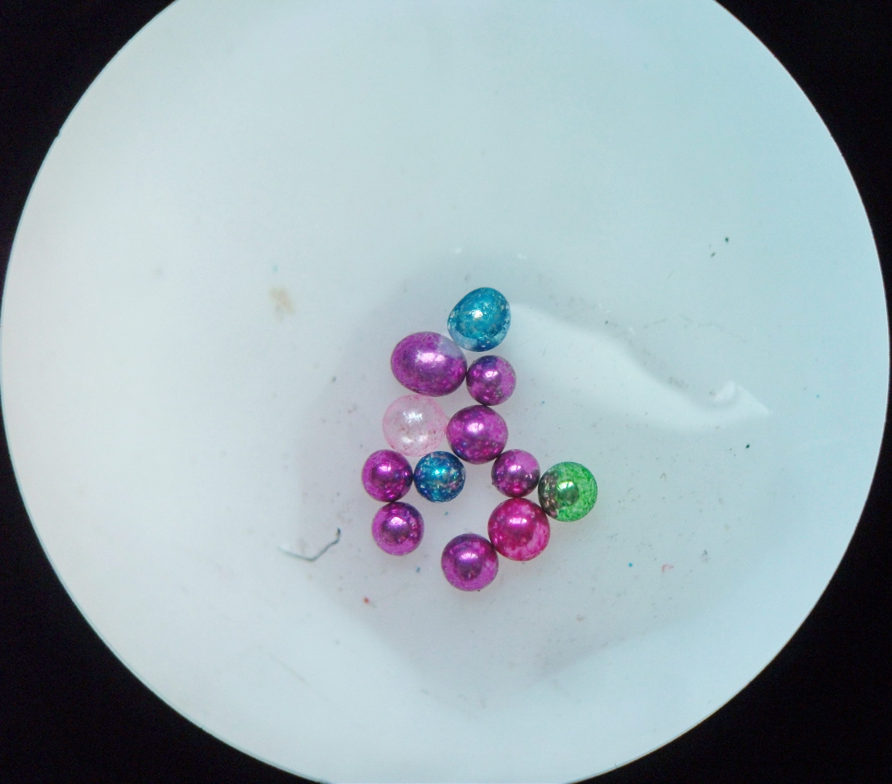 DSCF3931.JPG
