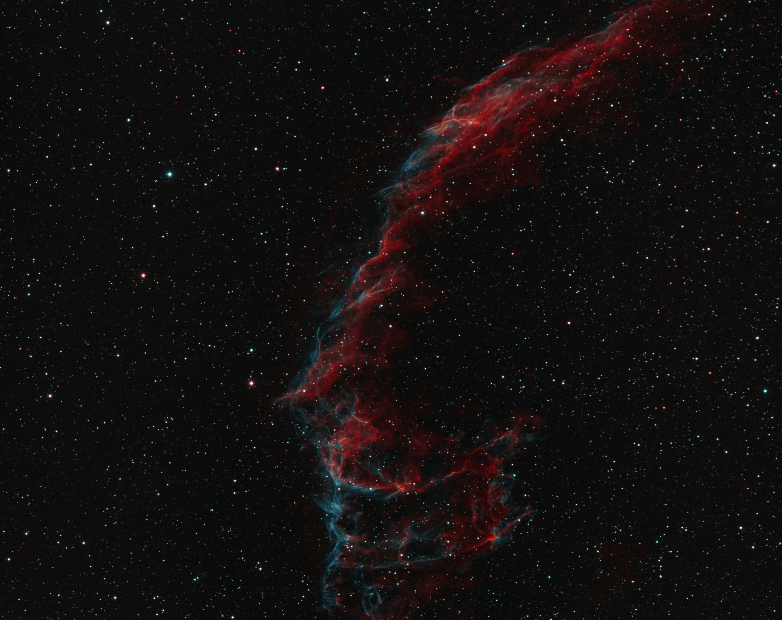 Ngc6992_Eastern_Veil__bicolor____3___Ngc6995__Ic1340_.jpg