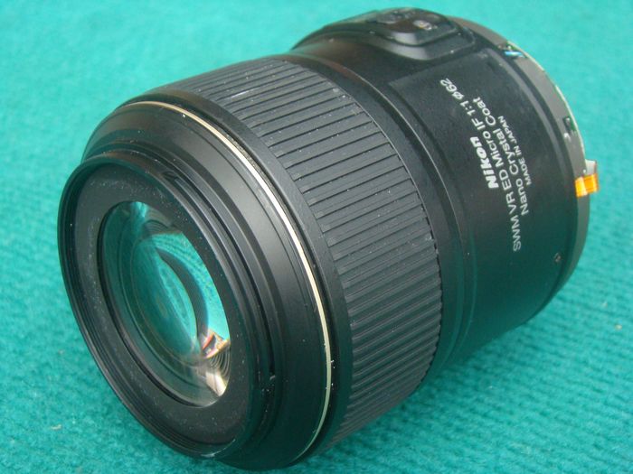 nEO_IMG_DSC00782.jpg