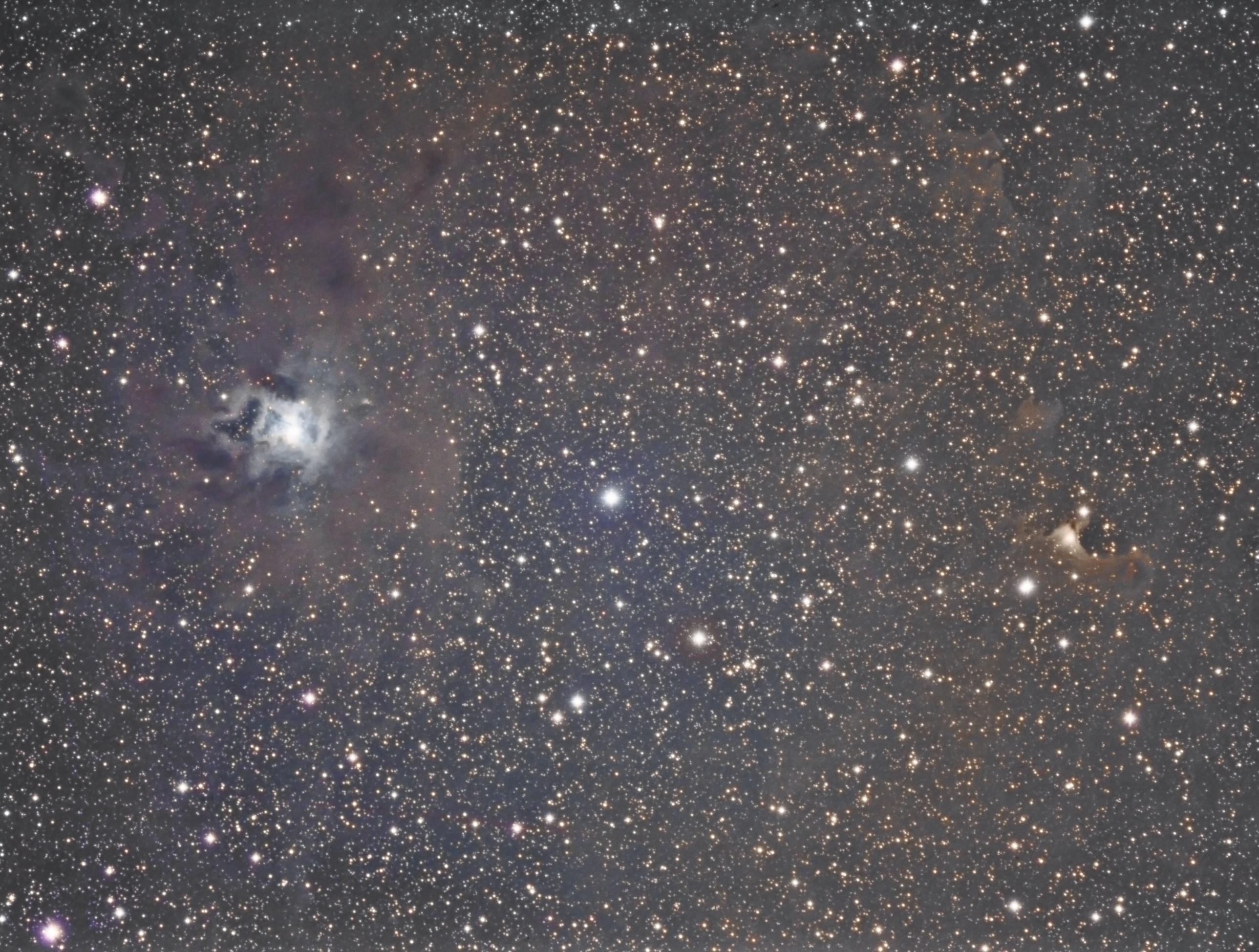 首拍暗星云ngc 7023鸢尾花&vdb141幽灵,ngc 891侧面星系@若岩远程