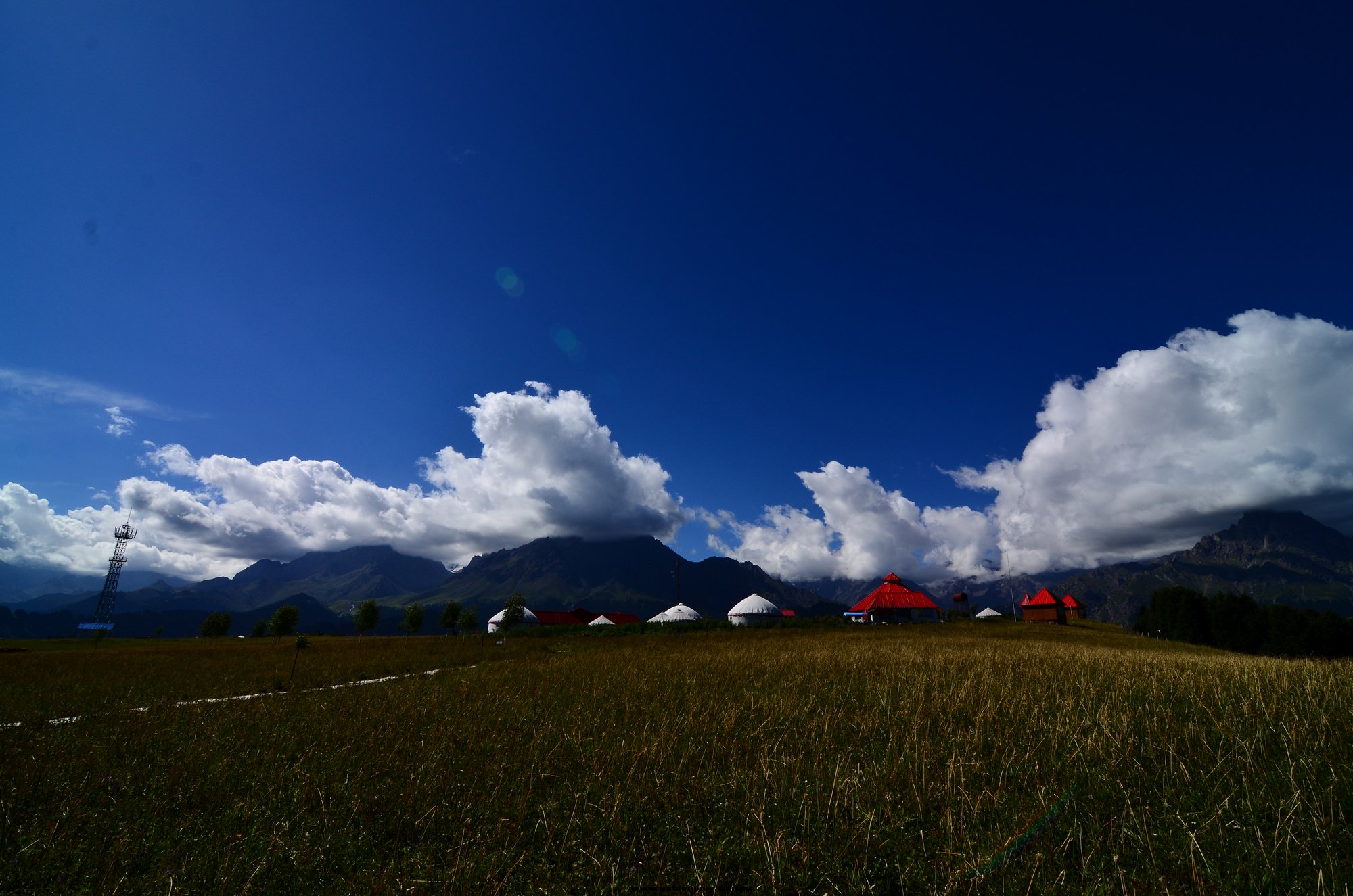 DSC_2692.jpg