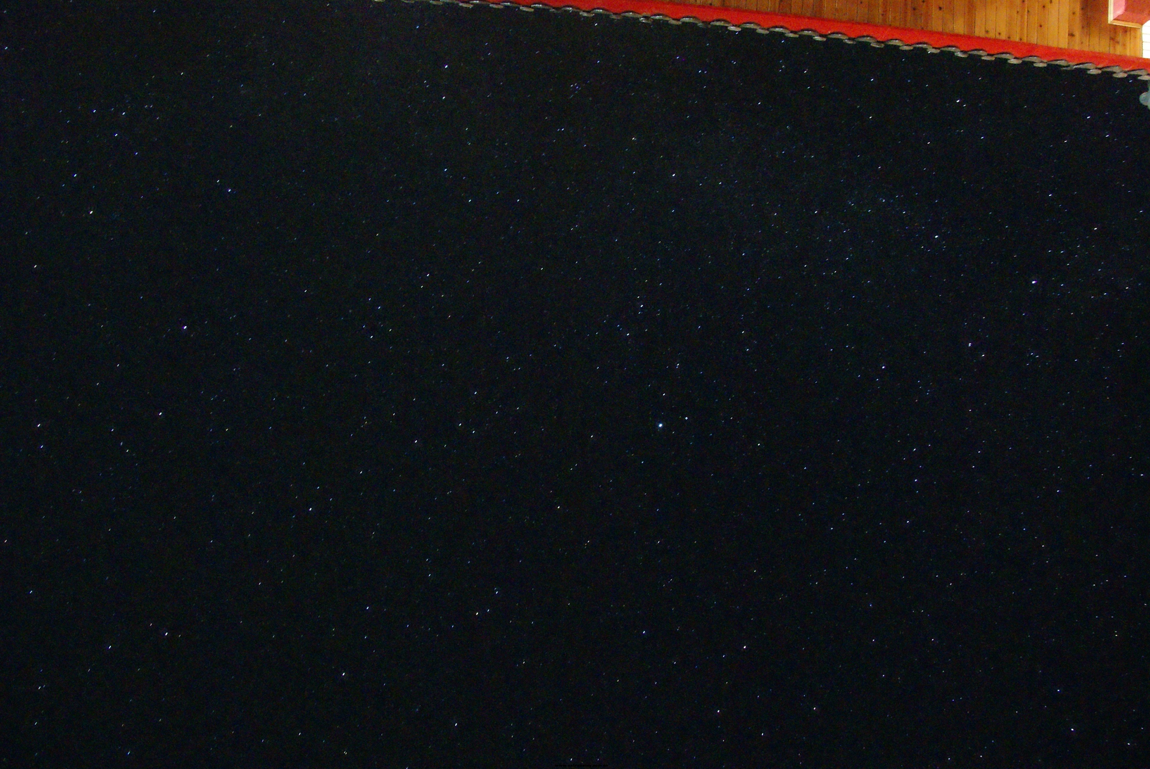 DSC03983~1.jpg