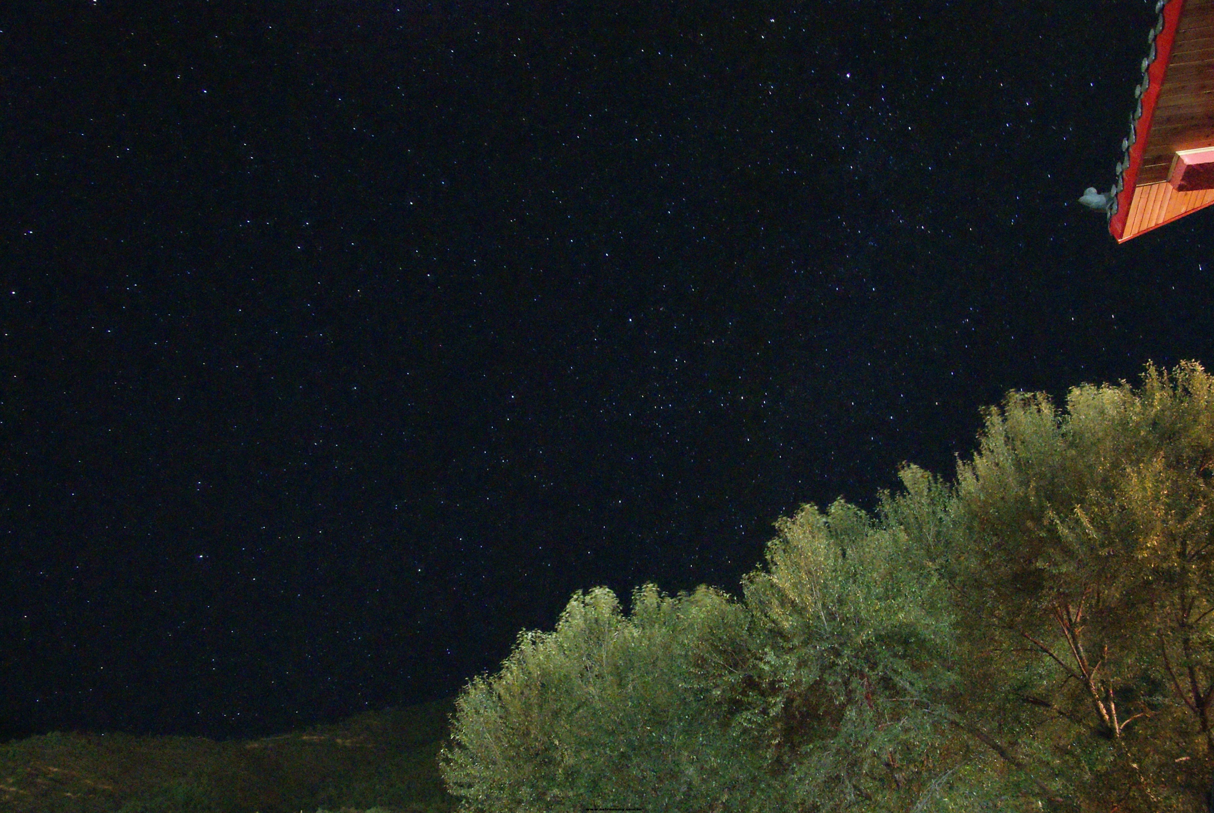 DSC03984~1.jpg