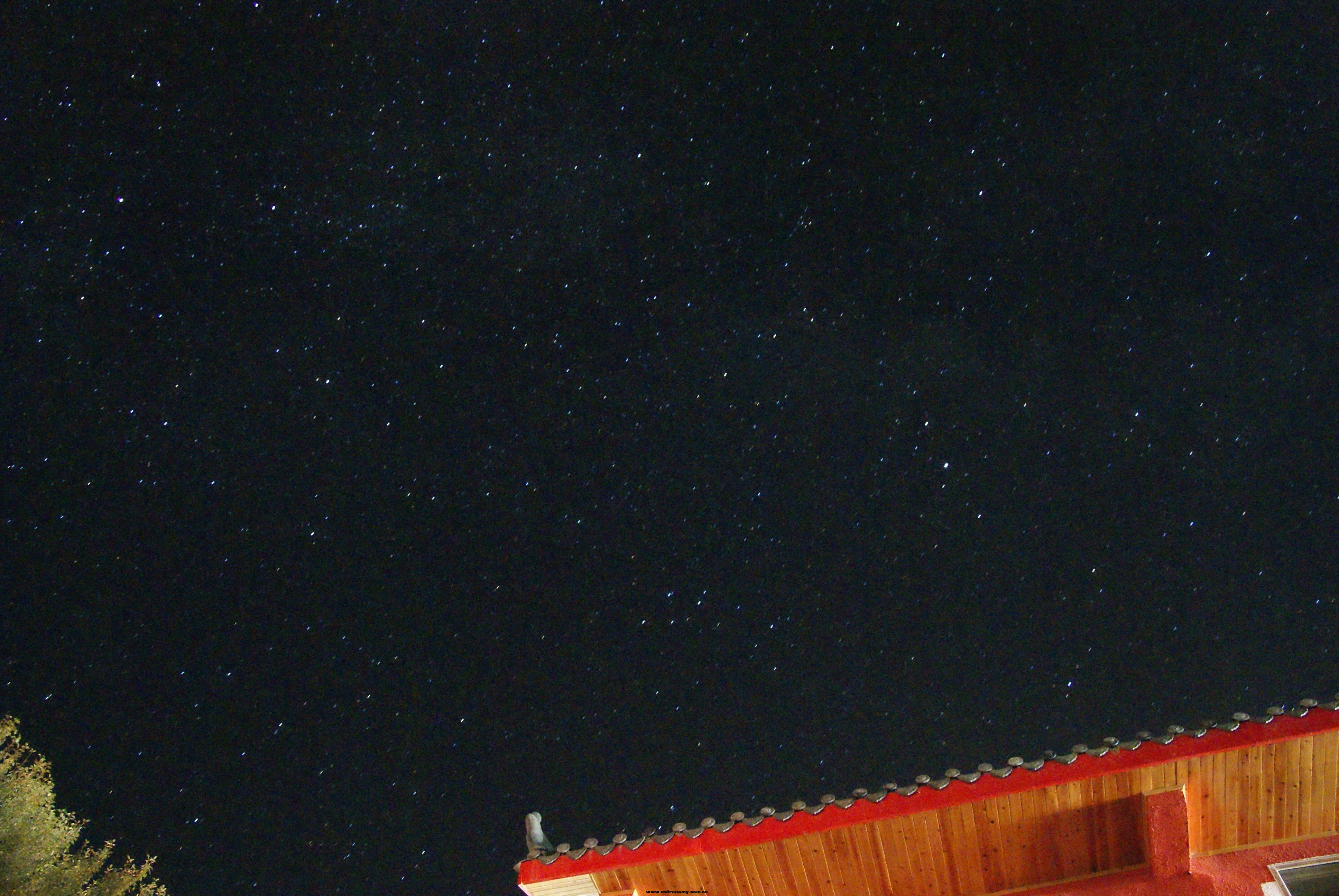 DSC03986~1.jpg