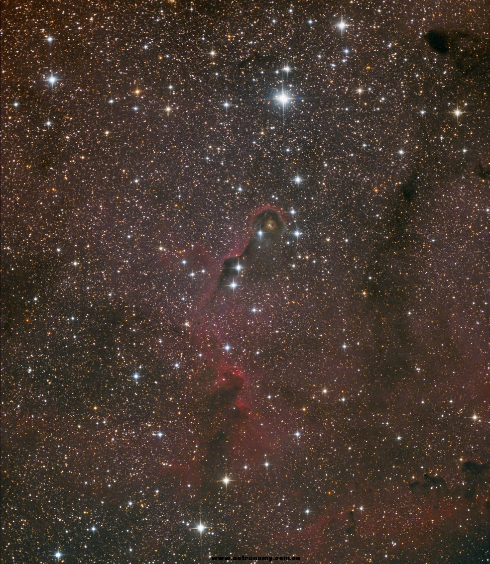 IC1306.jpg