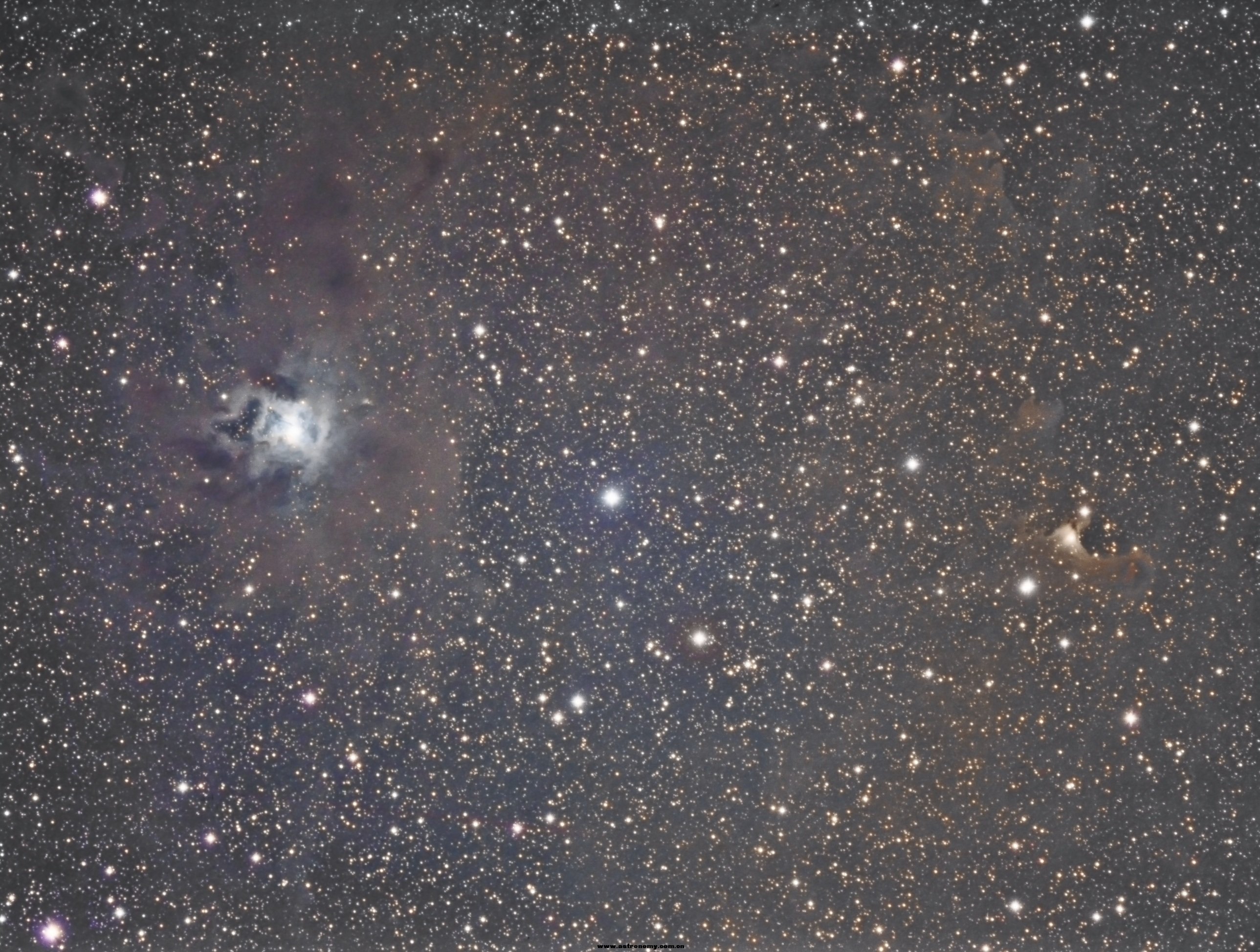 NGC 7023 & VDB 141.jpg