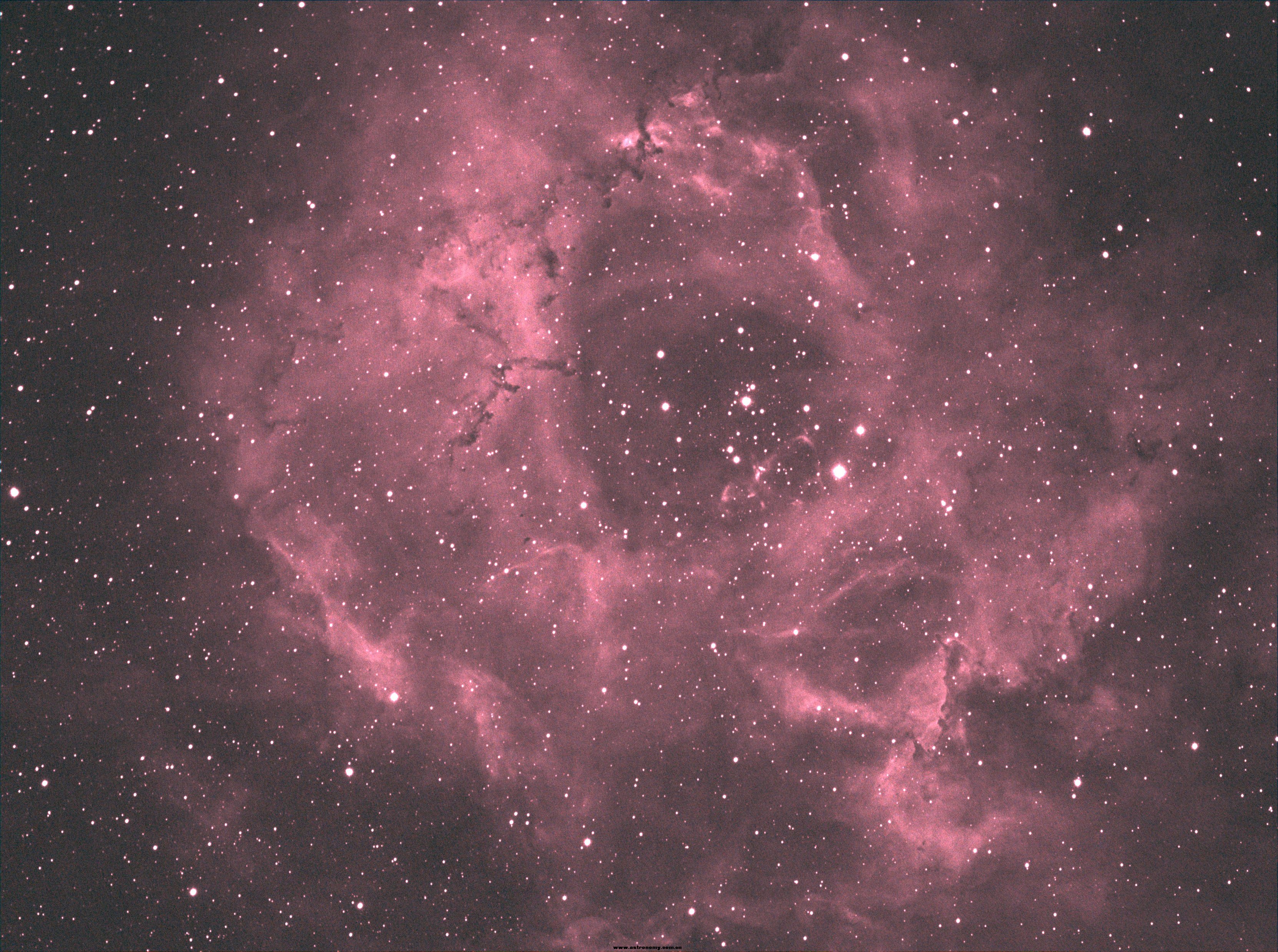 NGC2244DSS - 副本.jpg