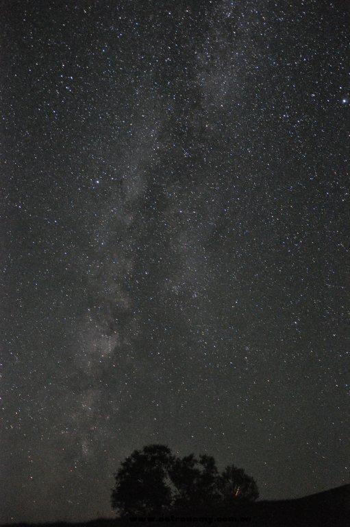 银河，还有颗掉进树里的火流星啊