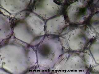 Capture 2013_5_5 23_55_56.png