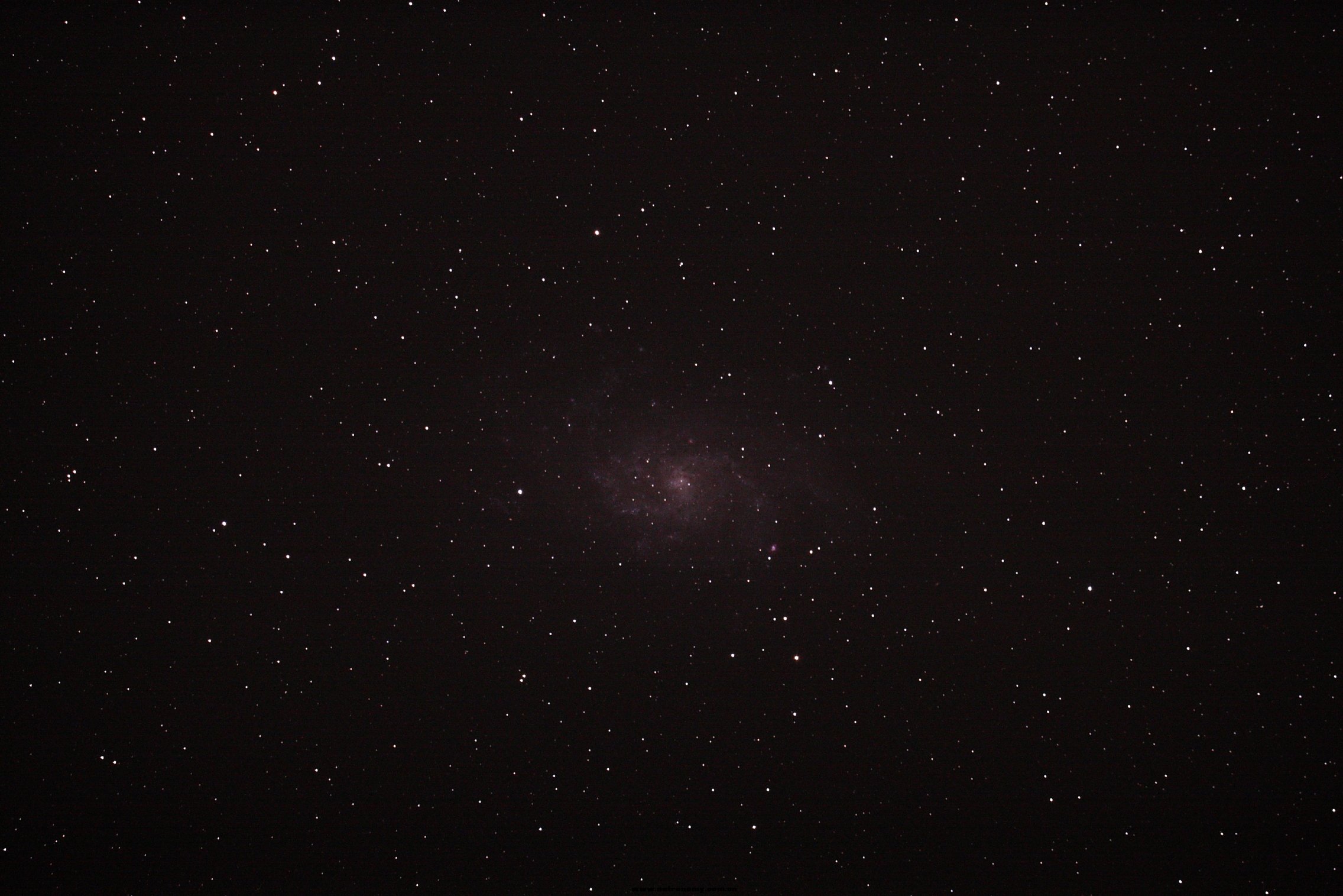 M33