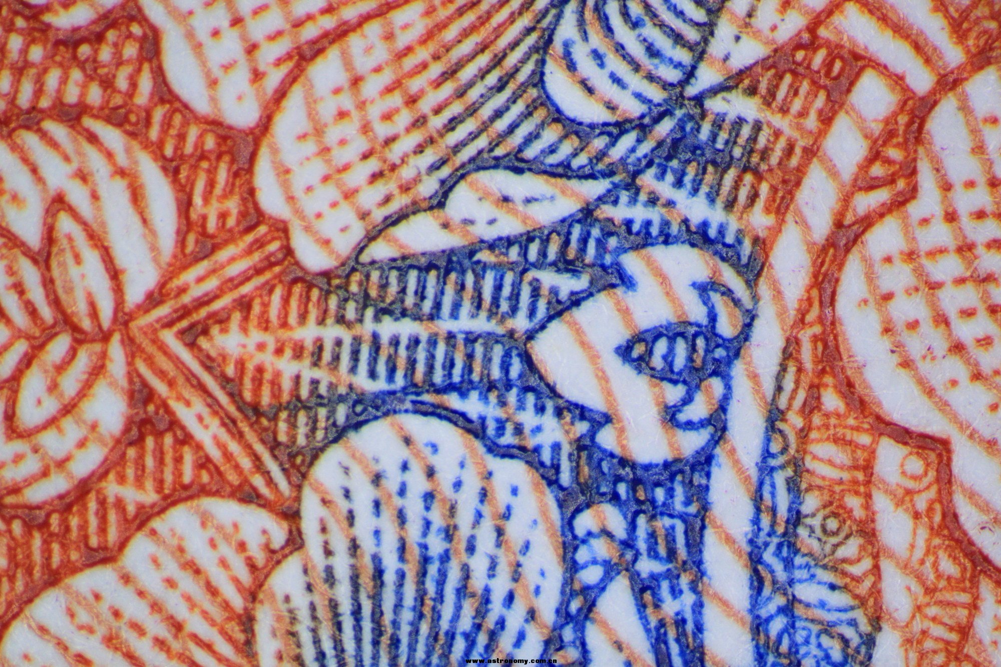 RMB2.JPG