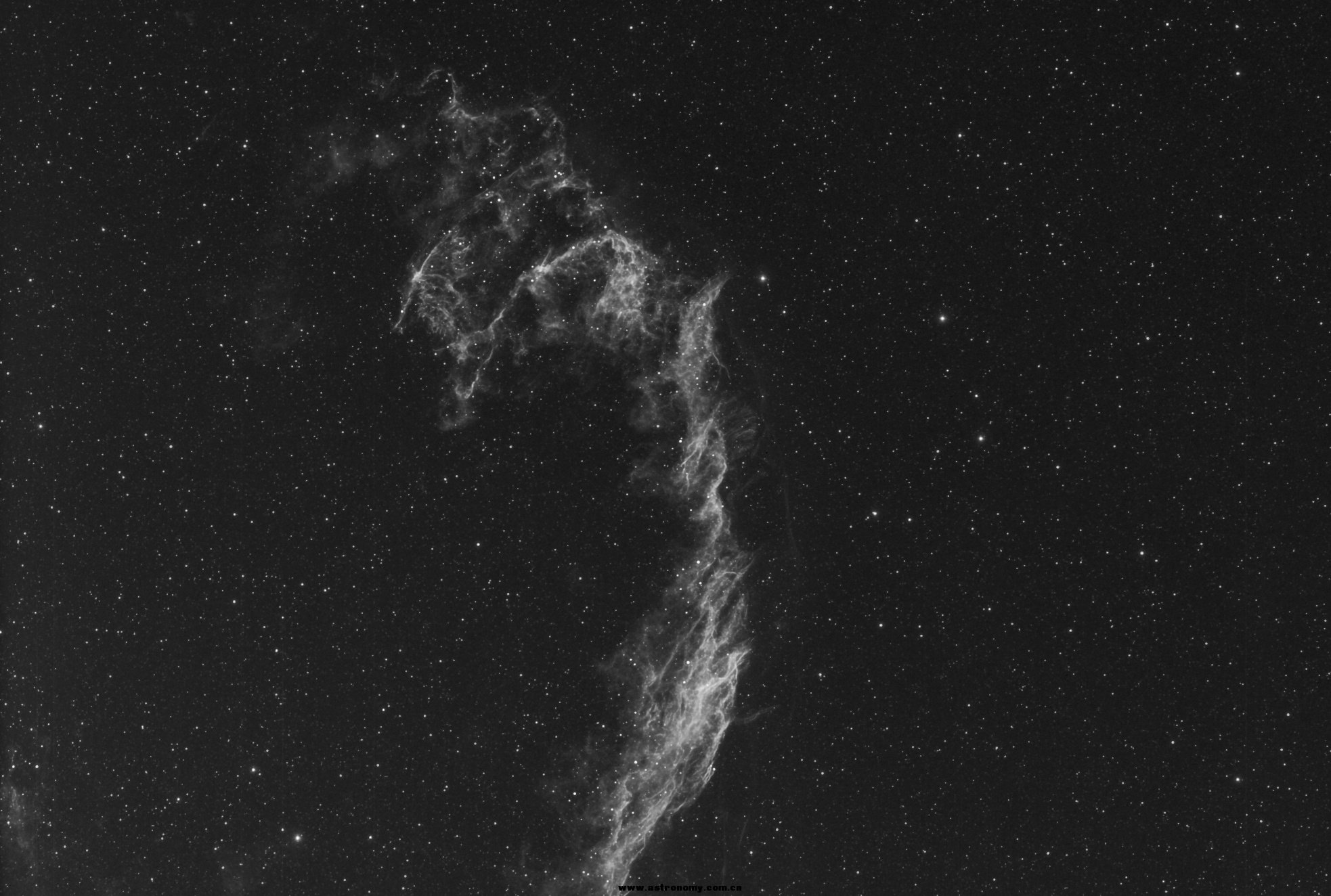 Deconvolved ngc 6995 Ha bin2-DDP-DBE-PS.jpg