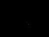 这张其实是M42，150X