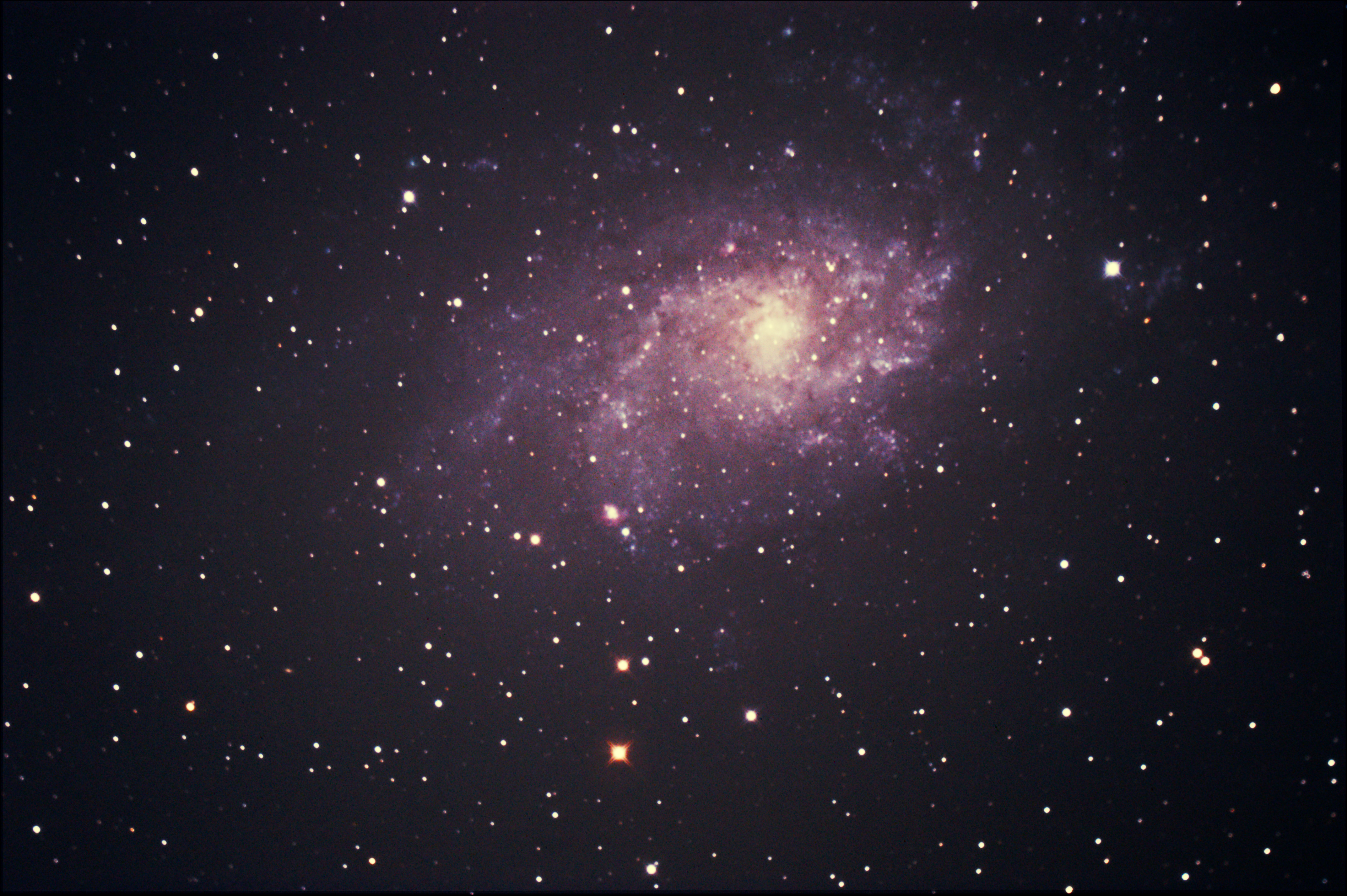 M33 YUAN2.jpg