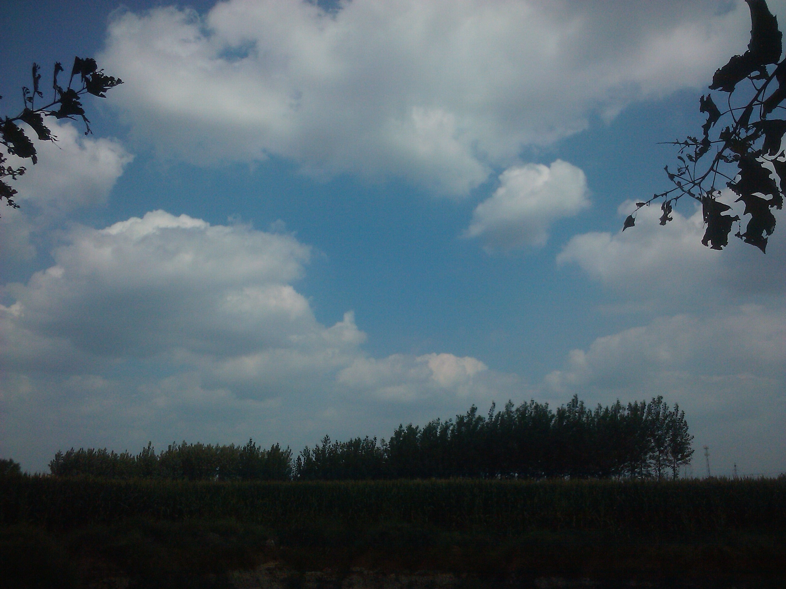 IMG_20130830_133402.jpg