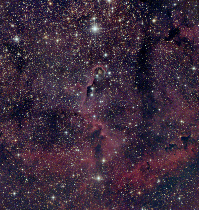 ic1396.jpg