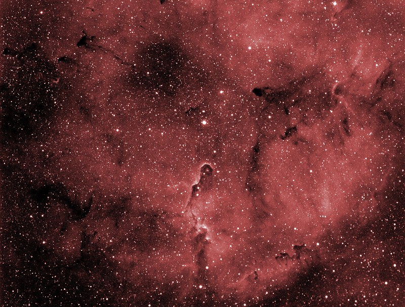 IC1396着色后