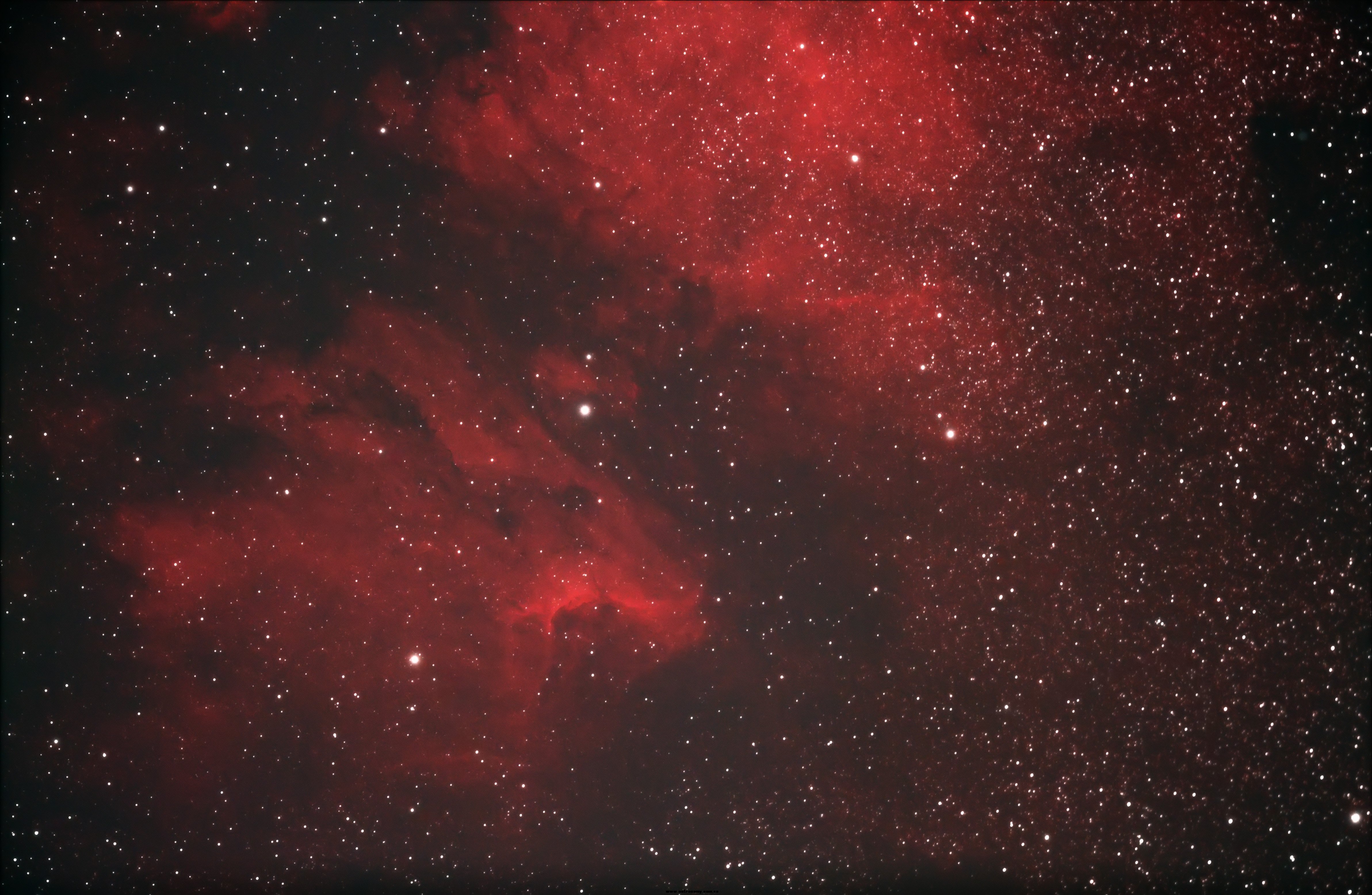 211445wxya1avaqq8mpkzq.jpg