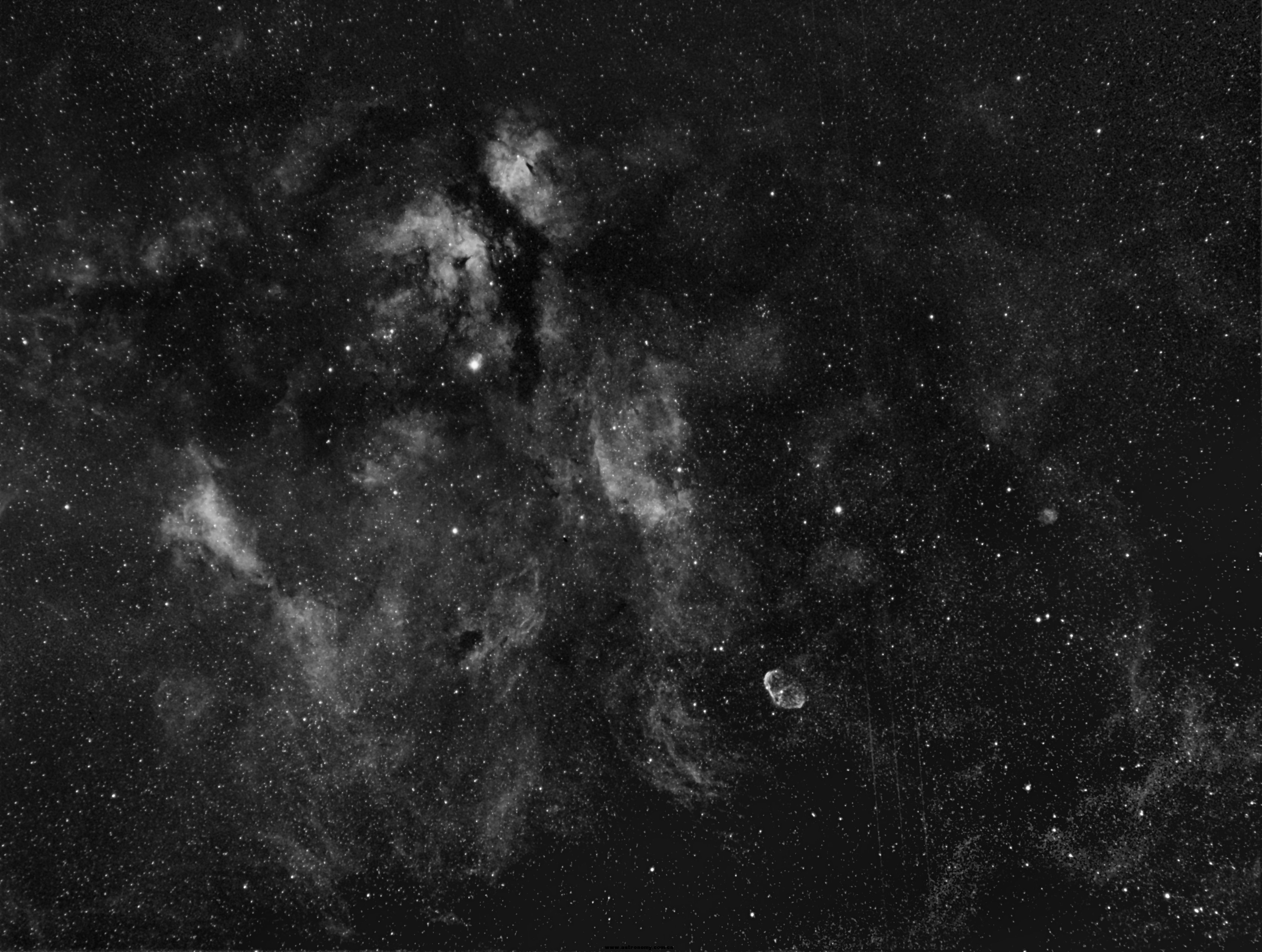cyg.jpg