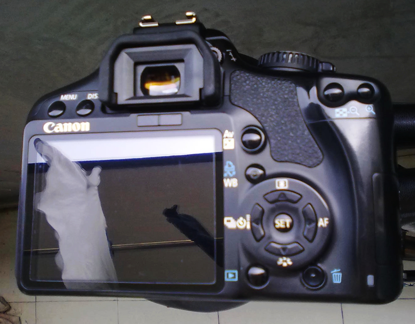 20130910790.jpg