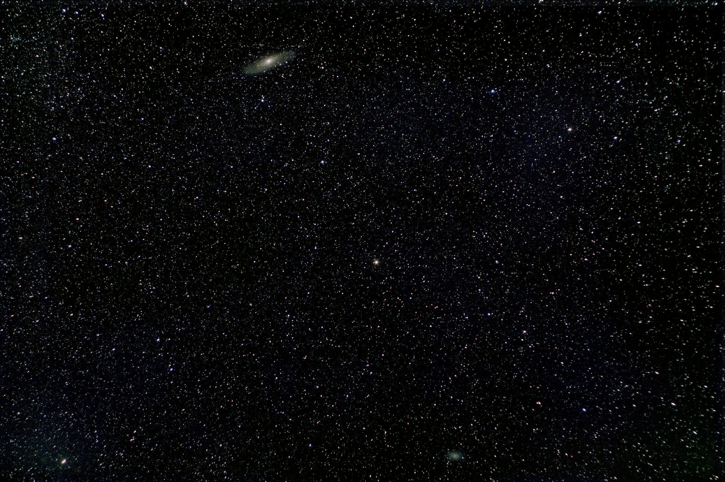 3133a.jpg