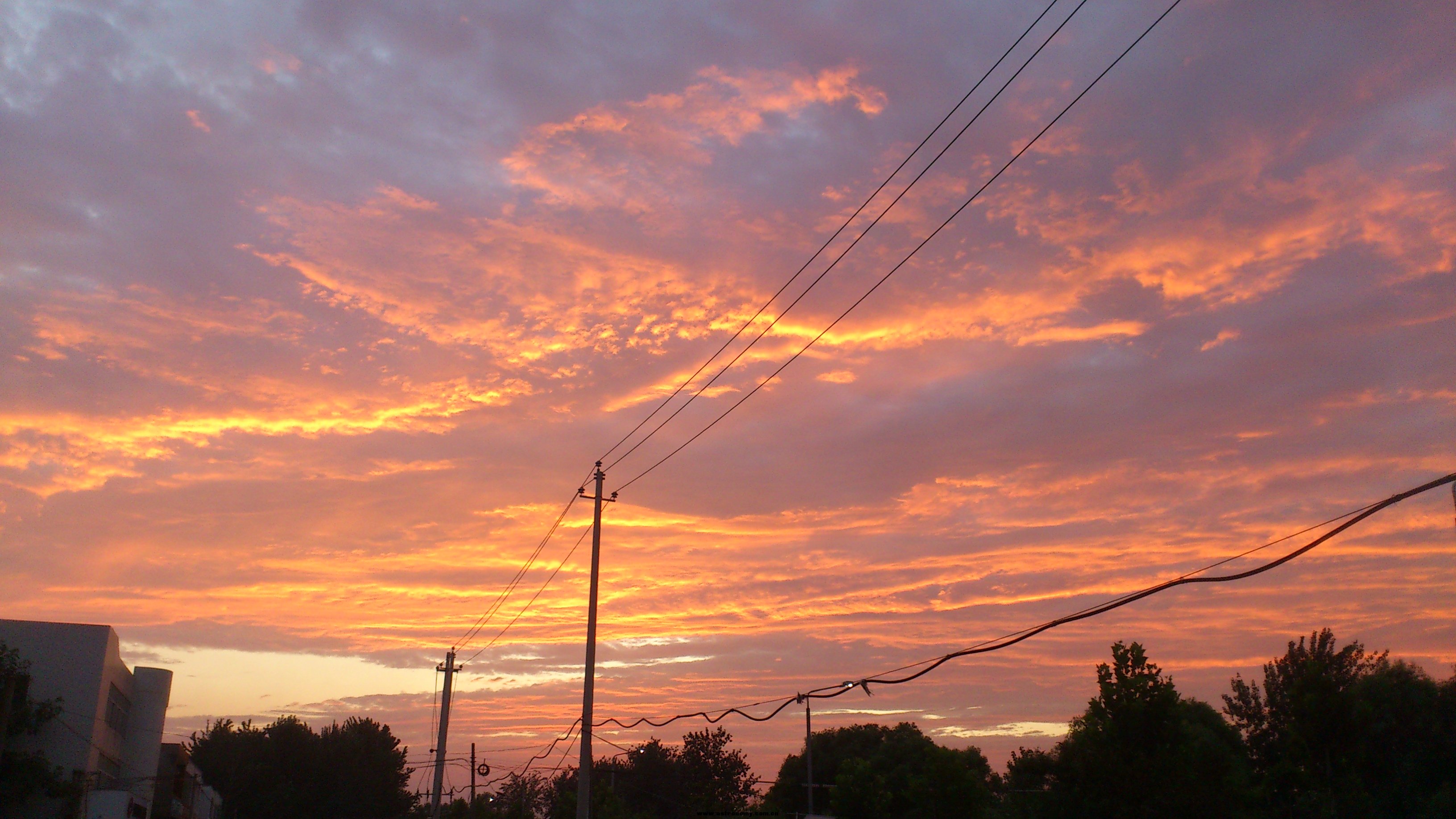 DSC_6874.jpg