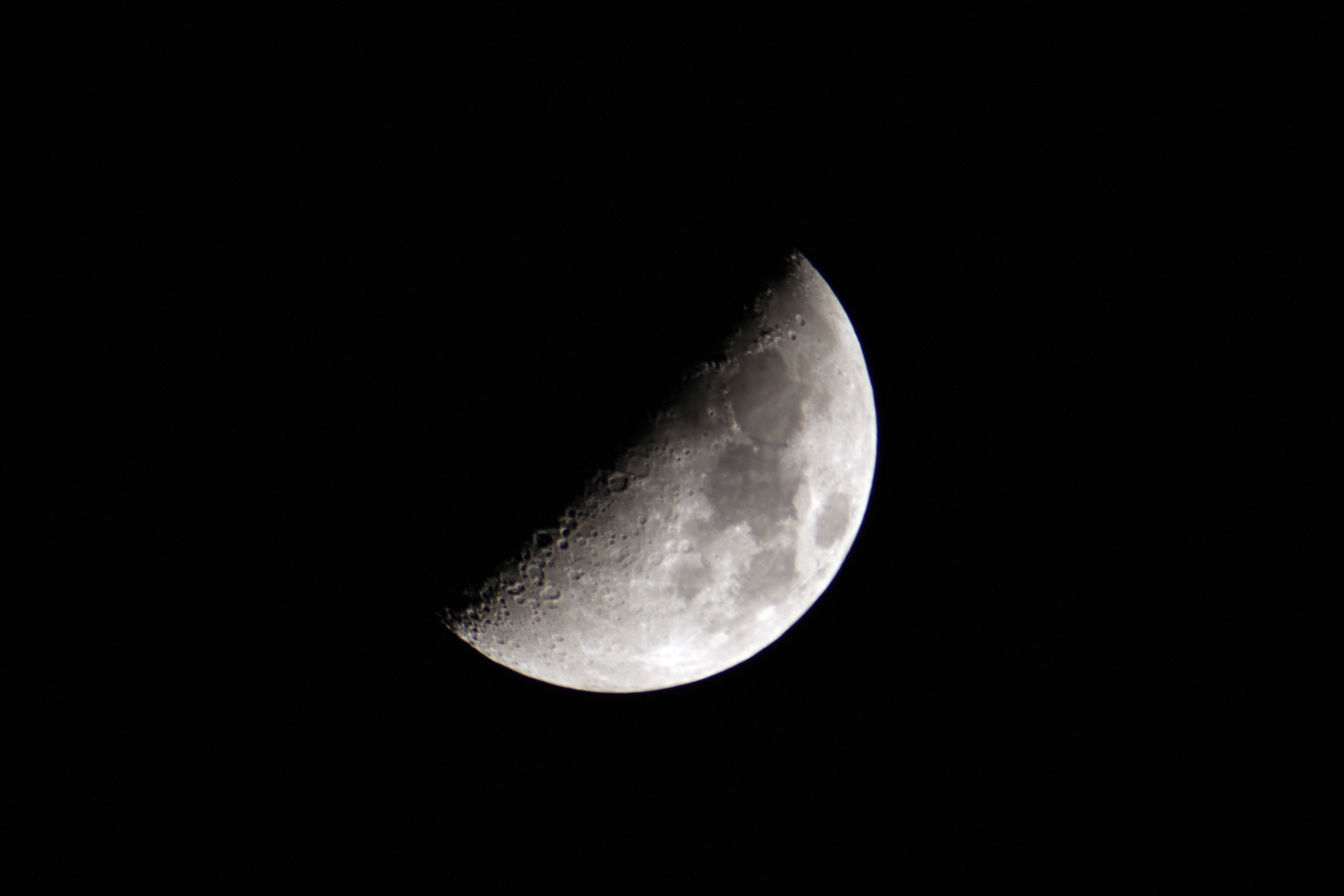 IMG_4451.jpg
