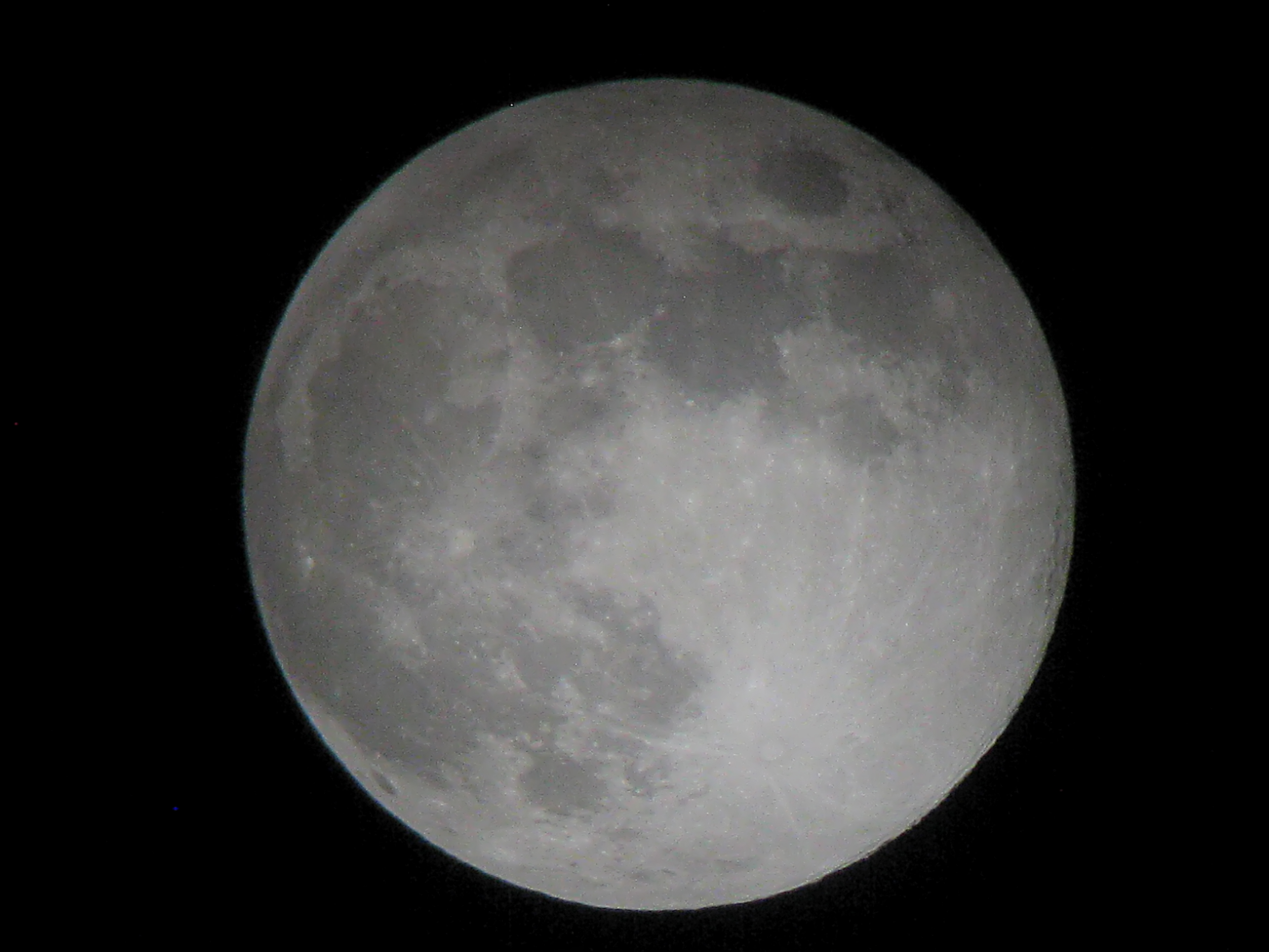 IMG_5211.jpg