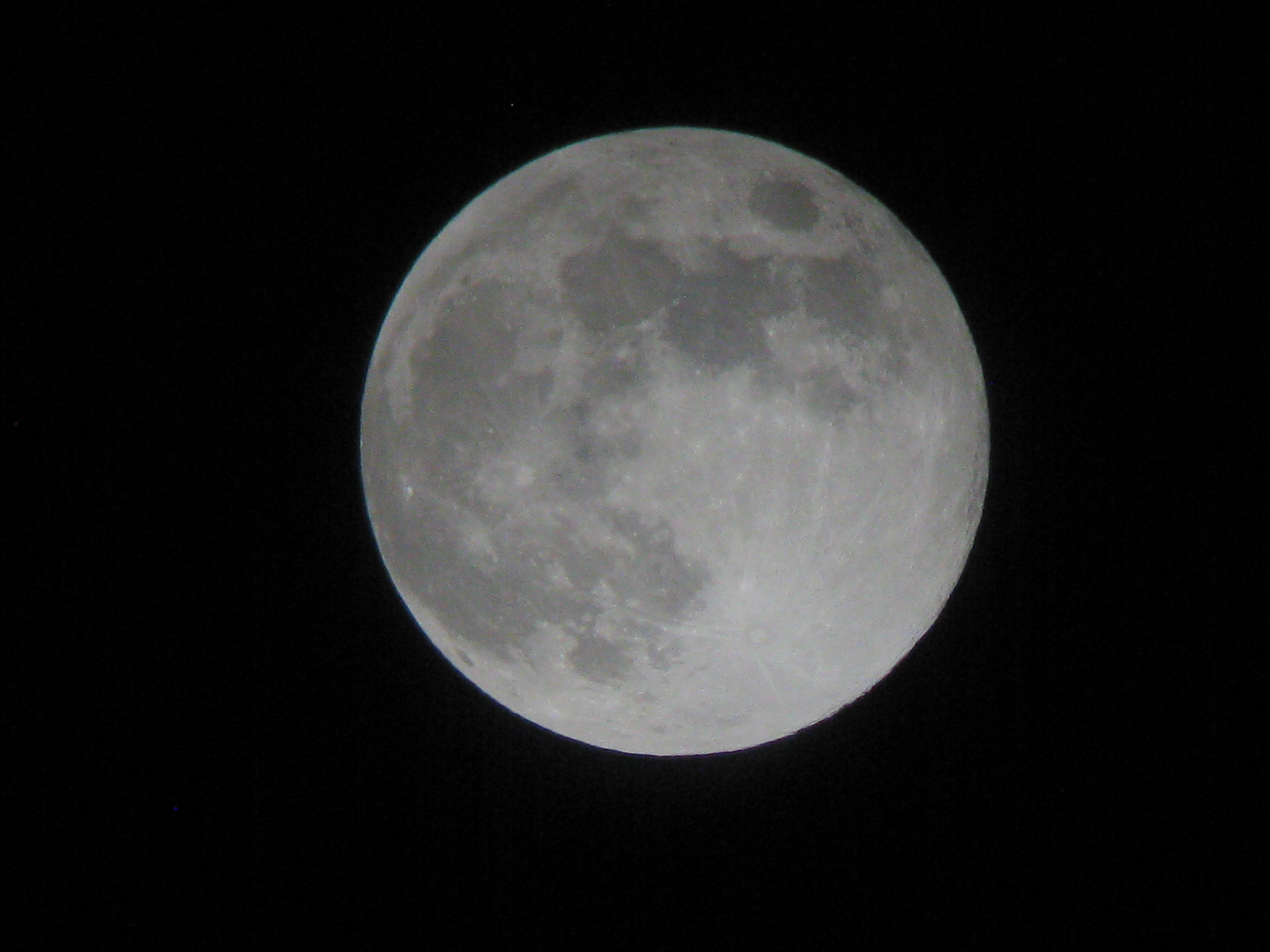 IMG_5215.jpg